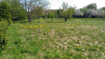 Prodej pozemku 1350 m², Mikulovice