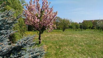 Prodej pozemku 1350 m², Mikulovice