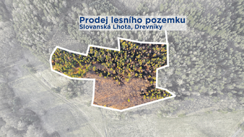 Prodej pozemku 14998 m², Drevníky