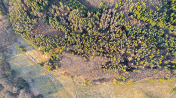 Prodej pozemku 14998 m², Drevníky