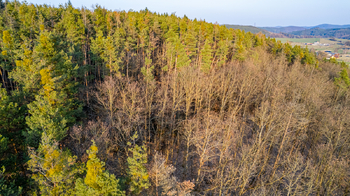 Prodej pozemku 14998 m², Drevníky