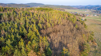 Prodej pozemku 14998 m², Drevníky