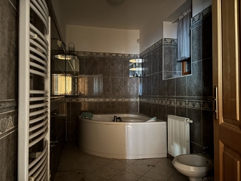 Prodej domu 1145 m², Petříkov