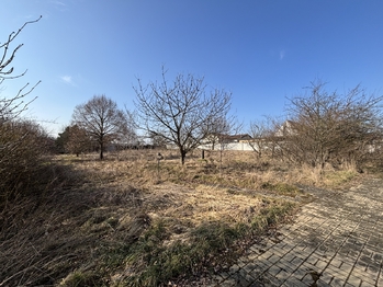 Prodej domu 1145 m², Petříkov