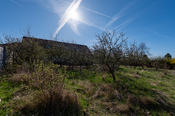 Prodej domu 1145 m², Petříkov