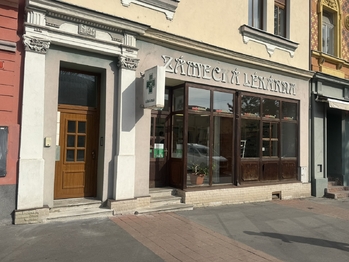 Pronájem obchodních prostor 118 m², Děčín