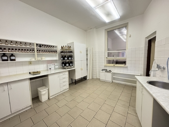 Pronájem obchodních prostor 118 m², Děčín