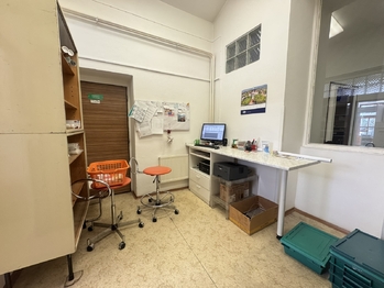 Pronájem obchodních prostor 118 m², Děčín