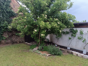 Prodej domu 214 m², Sedlejov