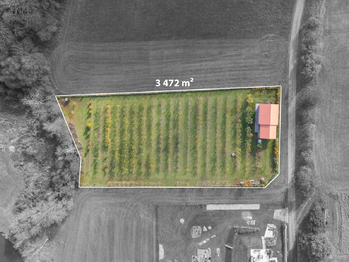 Prodej pozemku 1209 m², Řícmanice