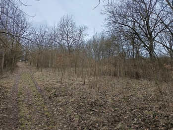 Prodej pozemku 3482 m², Zábřeh