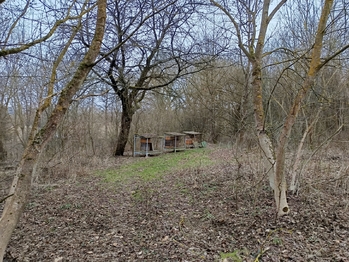 Prodej pozemku 3482 m², Zábřeh