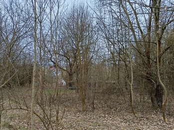 Prodej pozemku 3482 m², Zábřeh