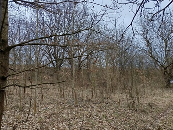 Prodej pozemku 3482 m², Zábřeh