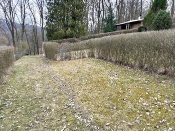 Prodej chaty / chalupy 42 m², Radíč