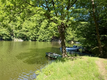 Prodej chaty / chalupy 42 m², Radíč