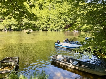 Prodej chaty / chalupy 42 m², Radíč