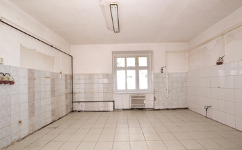 Pronájem obchodních prostor 100 m², Plzeň