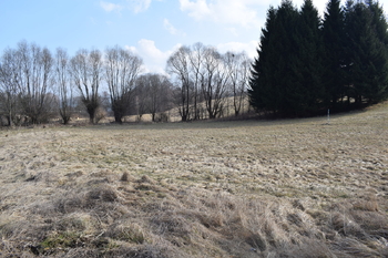 Další pozemky na prodej.... - Prodej pozemku 3795 m², Lipová-lázně