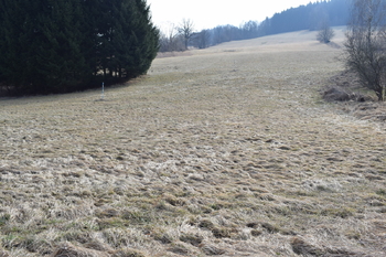 Pole a les nad pozemkem - Prodej pozemku 3795 m², Lipová-lázně