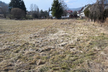 Další pozemky na prodej - Prodej pozemku 3795 m², Lipová-lázně