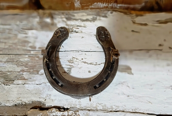 Prodej chaty / chalupy 180 m², Nosálov