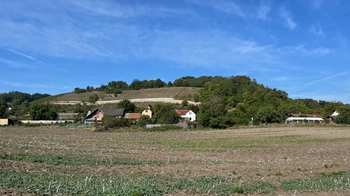 Prodej pozemku 7274 m², Jeviněves