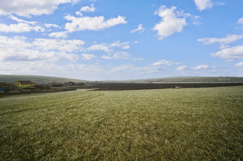 Prodej pozemku 6967 m², Čebín