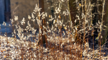 Prodej domu 122 m², Skalice u České Lípy