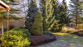 Prodej domu 122 m², Skalice u České Lípy