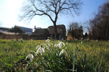 Prodej domu 89 m², Vilémov