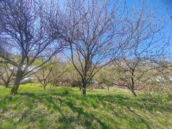 Prodej pozemku 1359 m², Karlovice