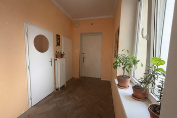 Pronájem bytu 1+1 v osobním vlastnictví 45 m², Brno