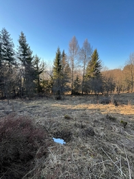 Prodej chaty / chalupy 65 m², Rajnochovice