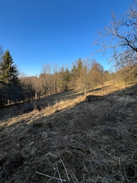 Prodej chaty / chalupy 65 m², Rajnochovice