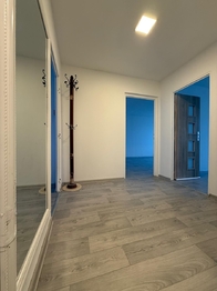 Pronájem bytu 2+1 v družstevním vlastnictví 59 m², Meziboří