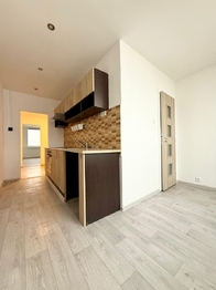 Pronájem bytu 2+1 v družstevním vlastnictví 59 m², Meziboří