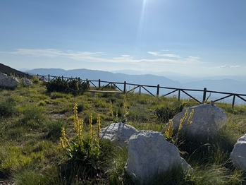 Majella park - Prodej bytu 2+kk v osobním vlastnictví 45 m², Montesilvano