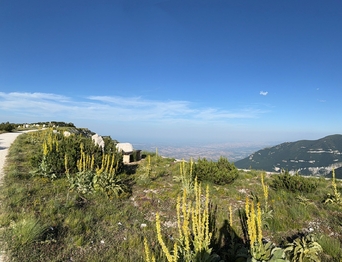 Majella park - Prodej bytu 2+kk v osobním vlastnictví 45 m², Montesilvano