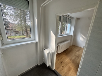 Pohled z koupelny - Pronájem bytu 1+kk v osobním vlastnictví 23 m², Liberec