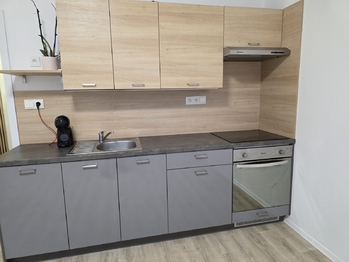 Pronájem bytu 2+kk v družstevním vlastnictví 43 m², Osek