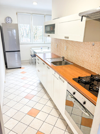 kuchyň - Pronájem bytu 2+1 v osobním vlastnictví 53 m², Liberec