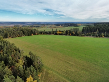 Prodej pozemku 2500 m², Květná