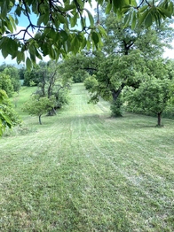 Prodej pozemku 1968 m², Výčapy
