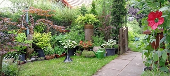 Prodej domu 150 m², Kostelec nad Černými lesy