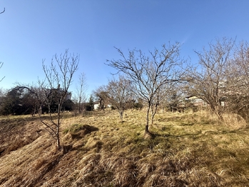 Prodej pozemku 1030 m², Lhotsko