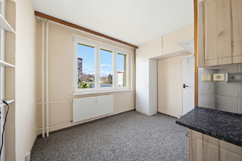 Prodej bytu 3+1 v družstevním vlastnictví 79 m², Chomutov