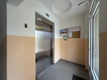 Pronájem bytu 1+kk v osobním vlastnictví 26 m², Plzeň