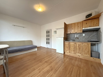 Pronájem bytu 1+kk v osobním vlastnictví 26 m², Plzeň
