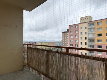 Pronájem bytu 1+kk v osobním vlastnictví 26 m², Plzeň